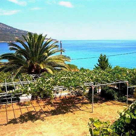 Hotel Kinira Εξωτερικό φωτογραφία